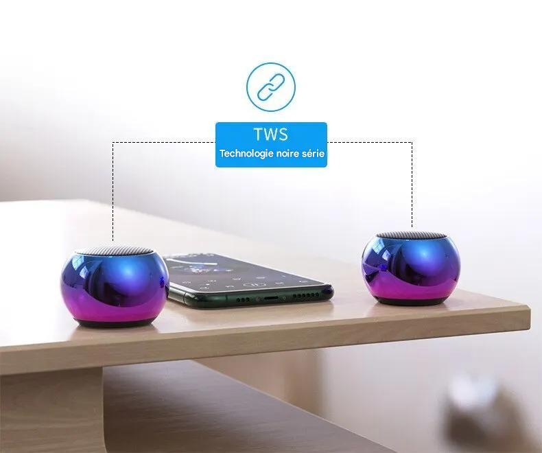 Mini Haut Parleur Bluetooth Sans Fil