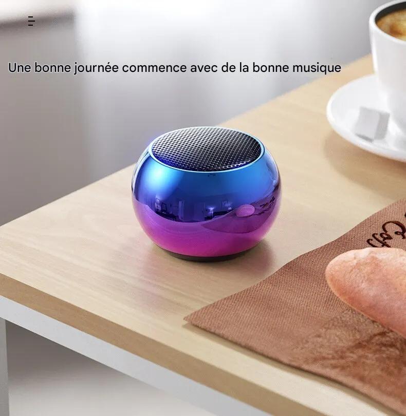 Mini Haut Parleur Bluetooth Sans Fil